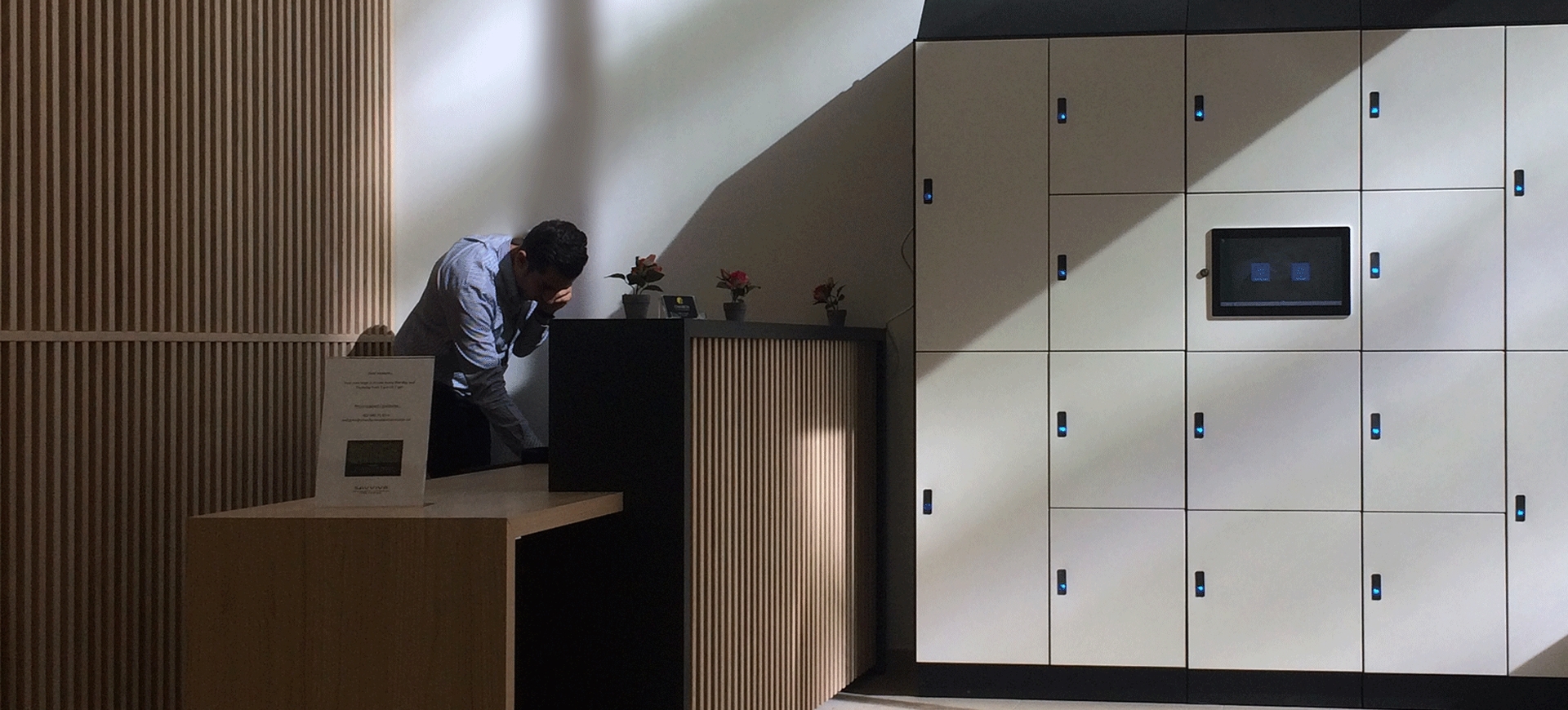 Electronic luggage lockers