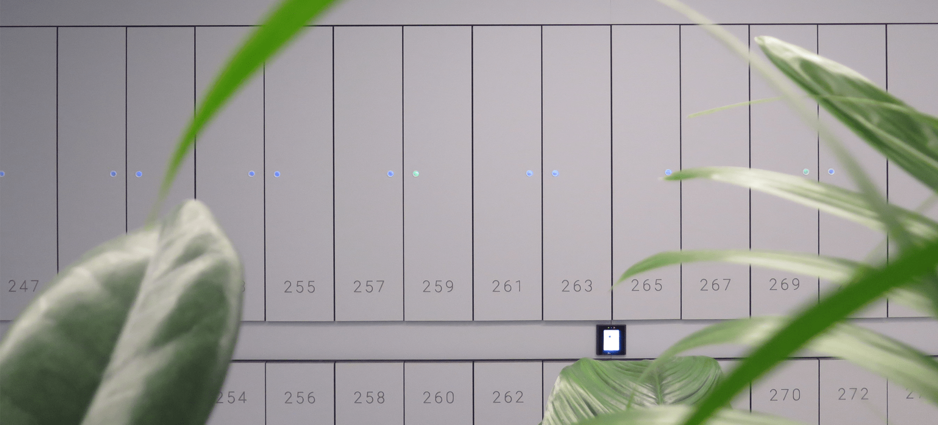 Electronic luggage lockers